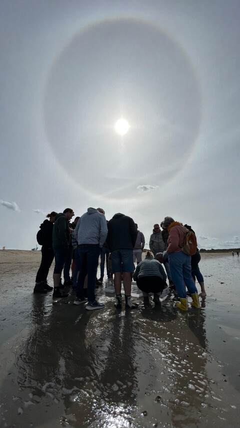 Bb4c6cec d438 4fb6 9623 758761bfd824